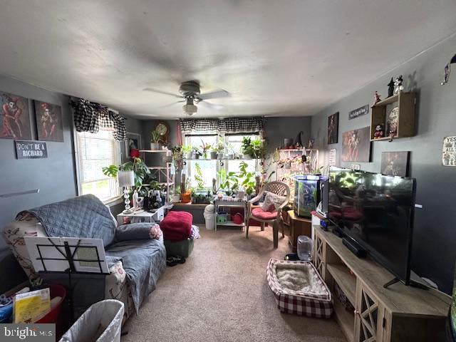 DILLSBURG BORO - Residential