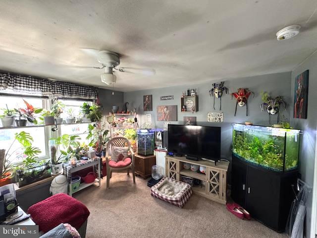 DILLSBURG BORO - Residential