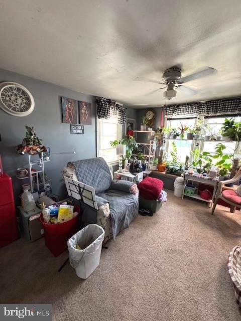 DILLSBURG BORO - Residential