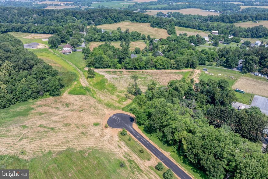 BUILD YOUR DREAM HOME HERE

This lot offers 4.5 Acres which is mostly level. 
With Rural Residential zoning, you have many options for this great space including a home for you and your horses or space for a 2nd garage or pole building for the collector. 

These are 4 finished lots on this private lane and water management areas are already installed. A well is required. There is public sewer, Comcast internet and electric already available in the street.  See parcel drawing in online documents.

Developer to approve plans. No mobile homes permitted.