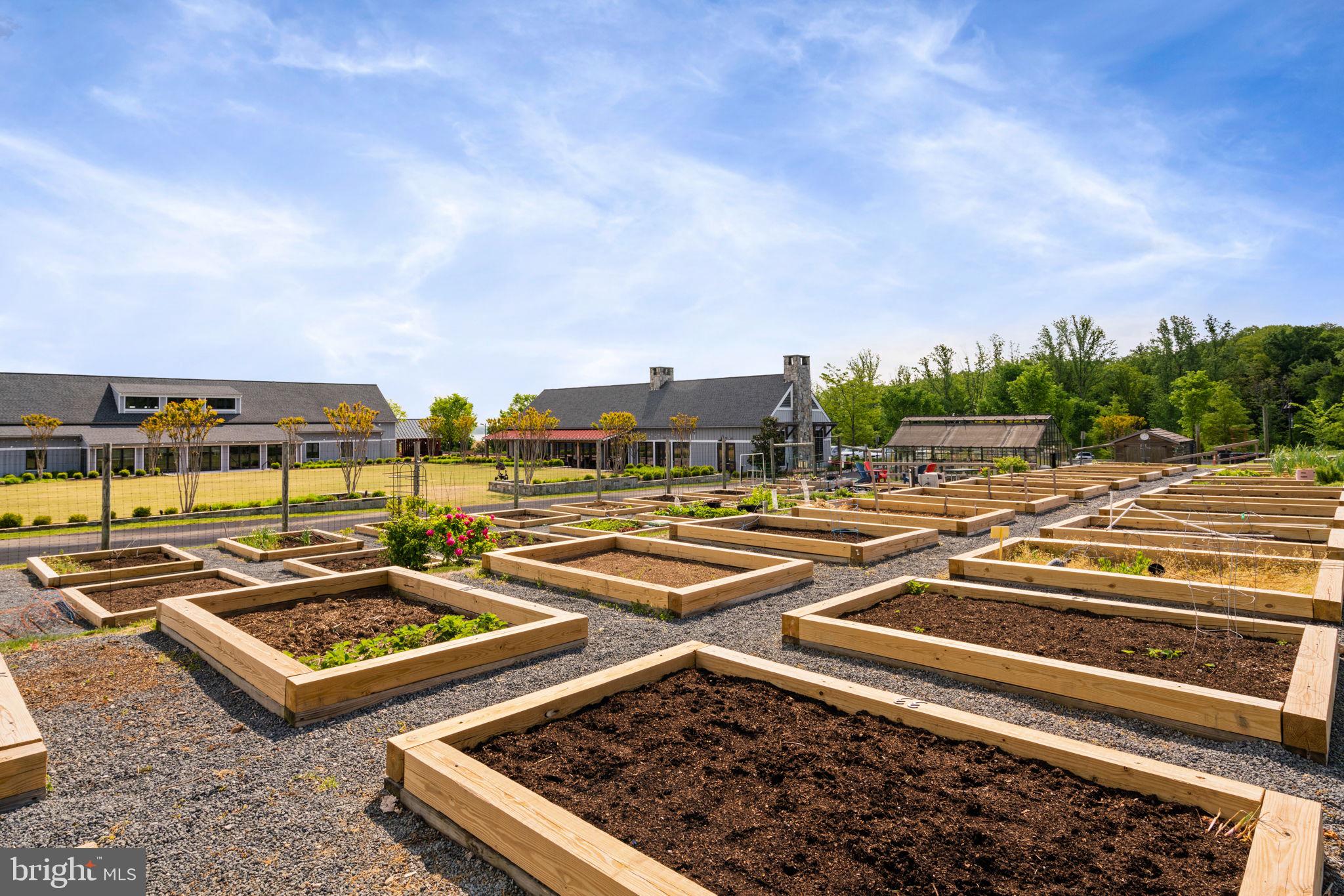 POTOMAC SHORES - Residential