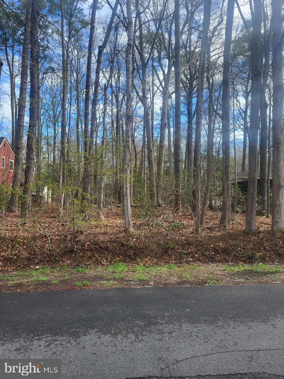 OCEAN PINES - SOMERSET - Land