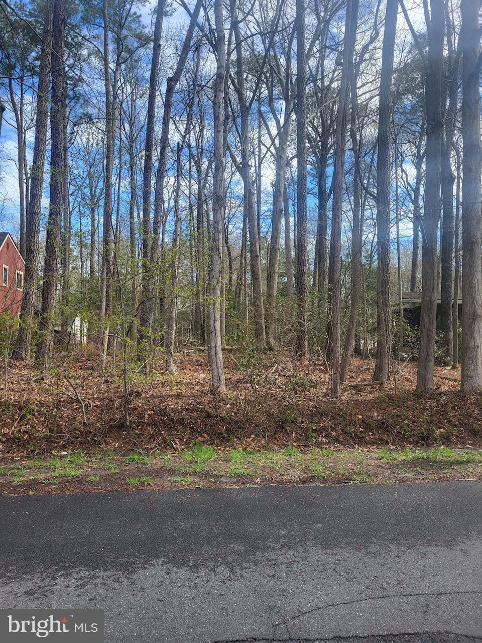 OCEAN PINES - SOMERSET - Land