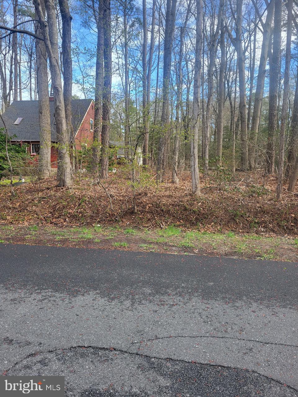 OCEAN PINES - SOMERSET - Land