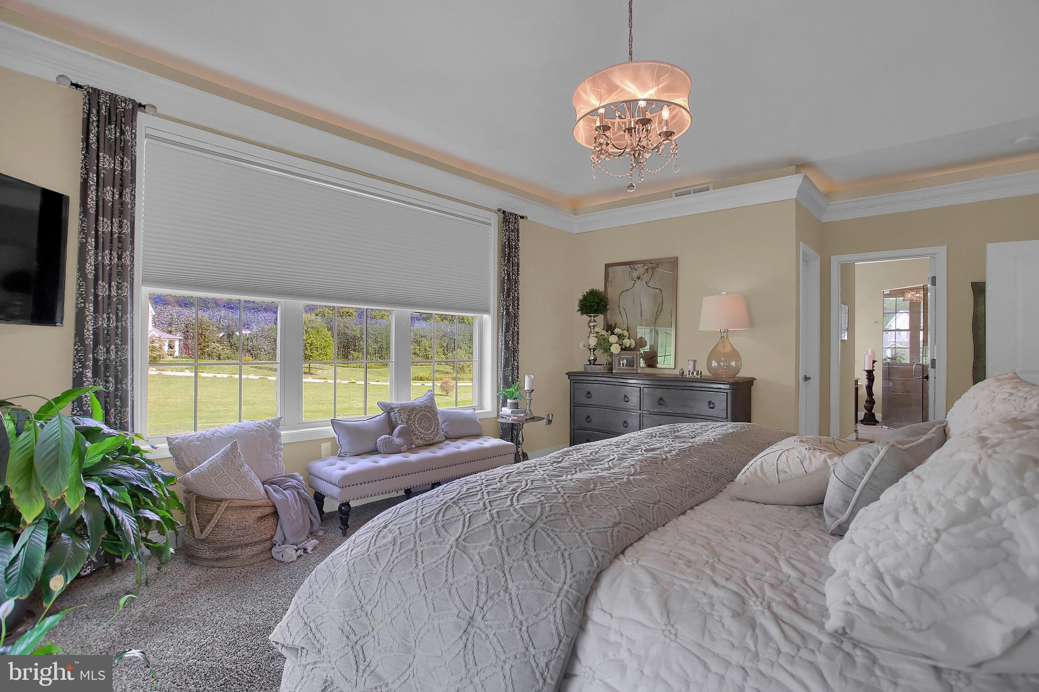 SPRING GROVE - Residential