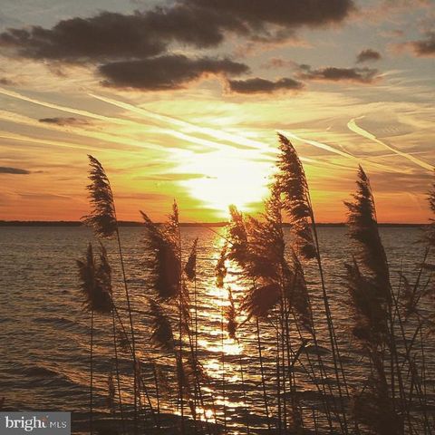 11610 BACHELORS HOPE COURT ISSUE MD 20645