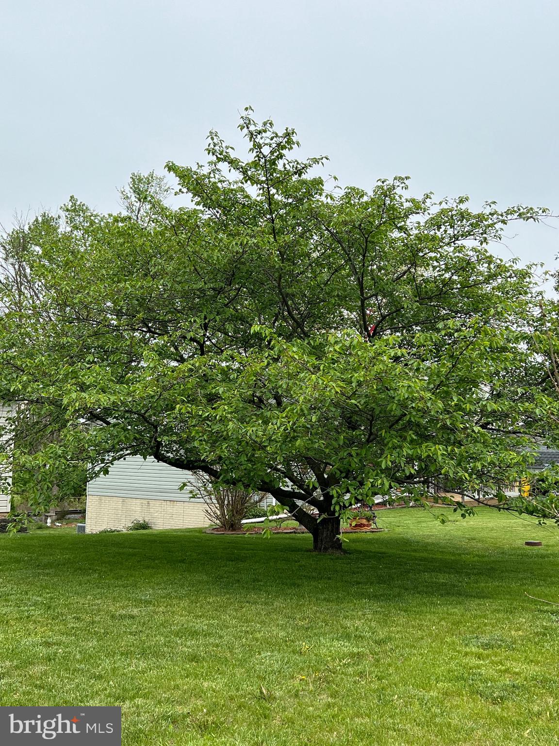 SKY-LIN PARK - Residential