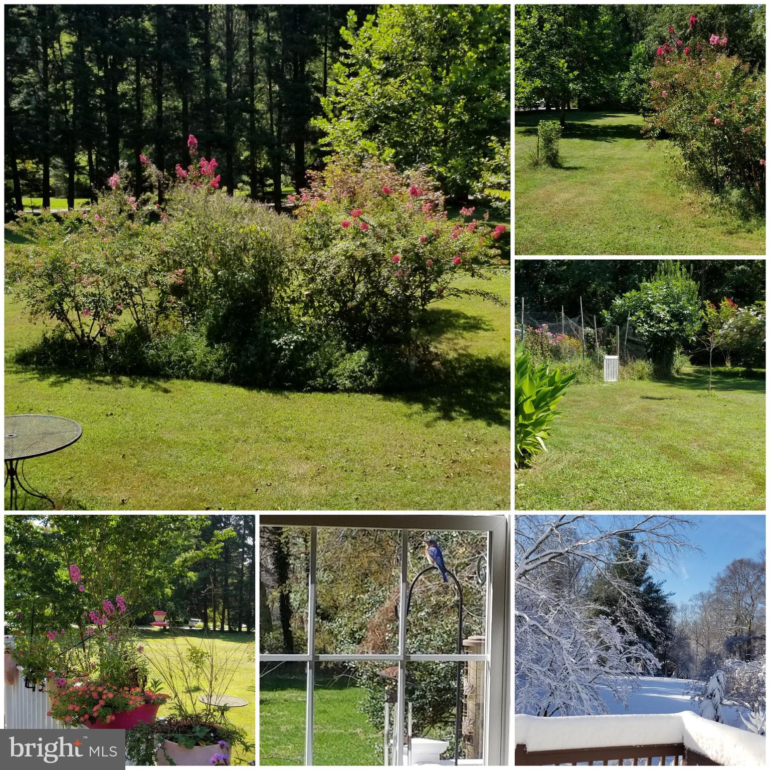 THE DOWNS - Residential