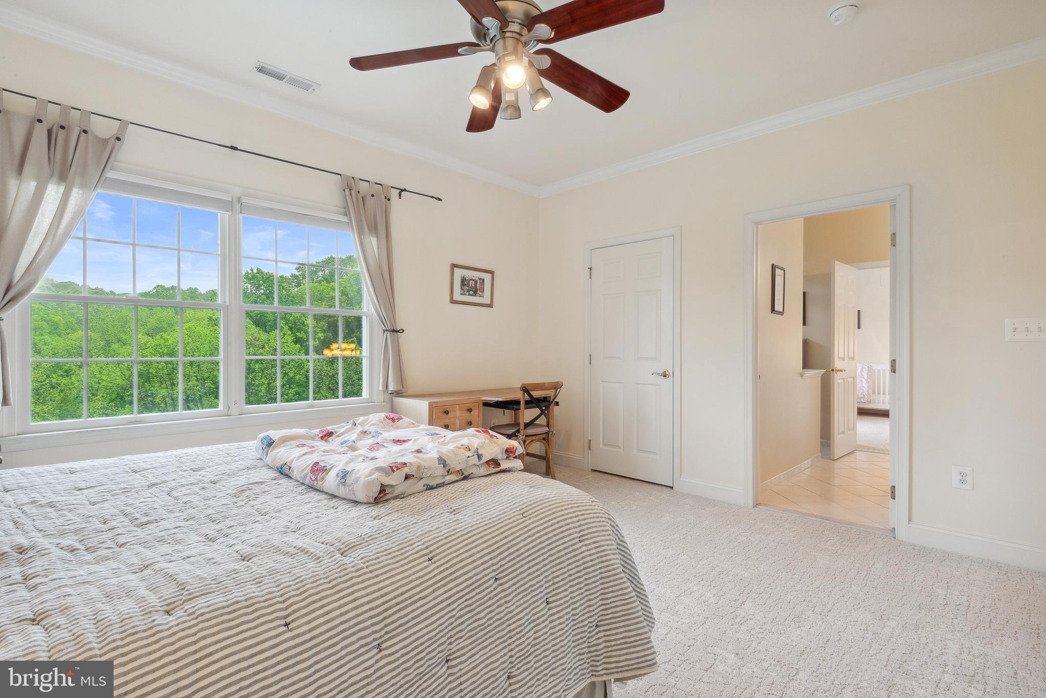 BIG BRANCH OVERLOOK - Residential