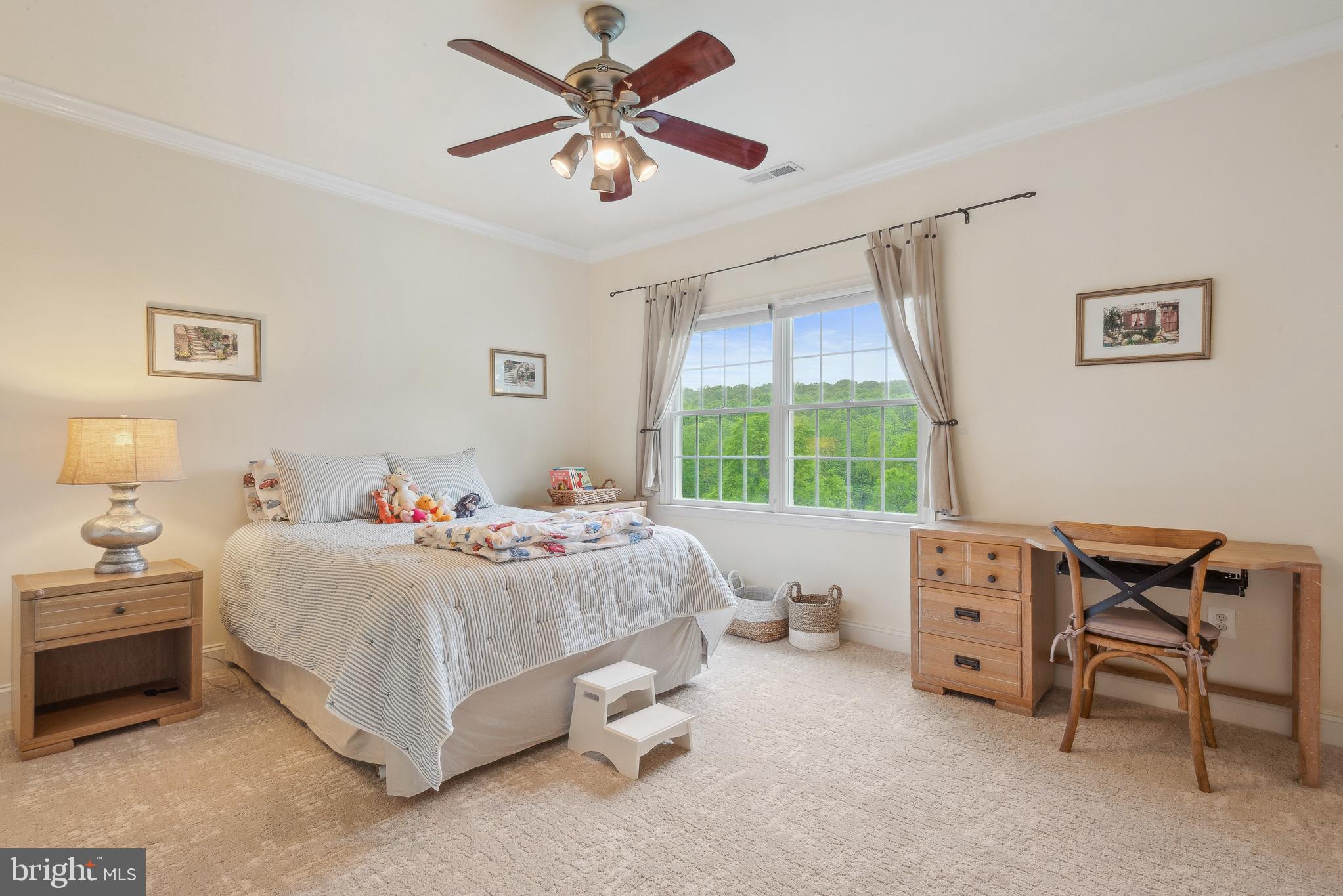 BIG BRANCH OVERLOOK - Residential