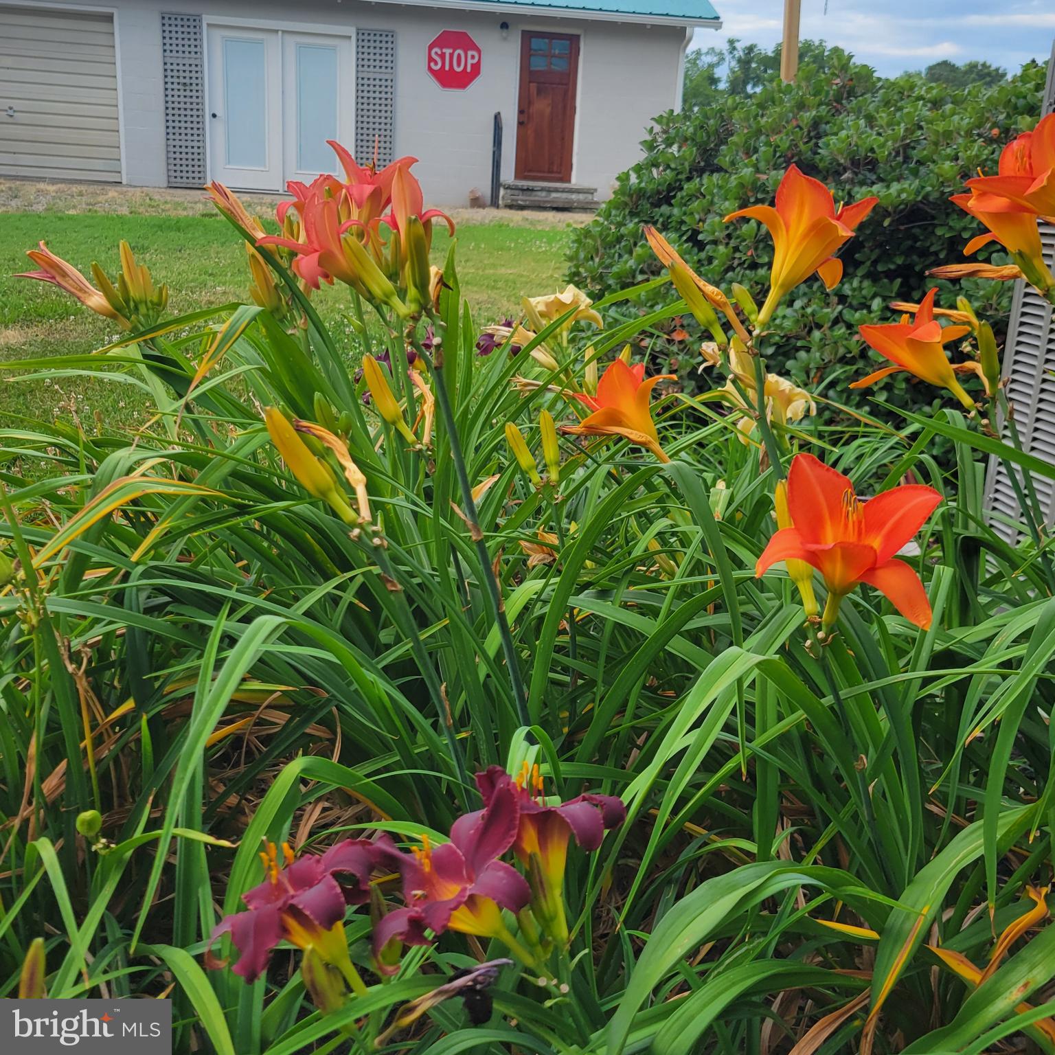 NONE```````````````````` - Residential