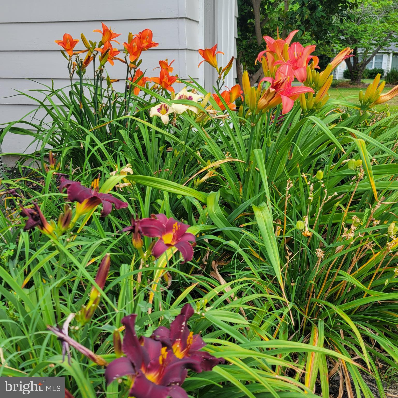 NONE```````````````````` - Residential