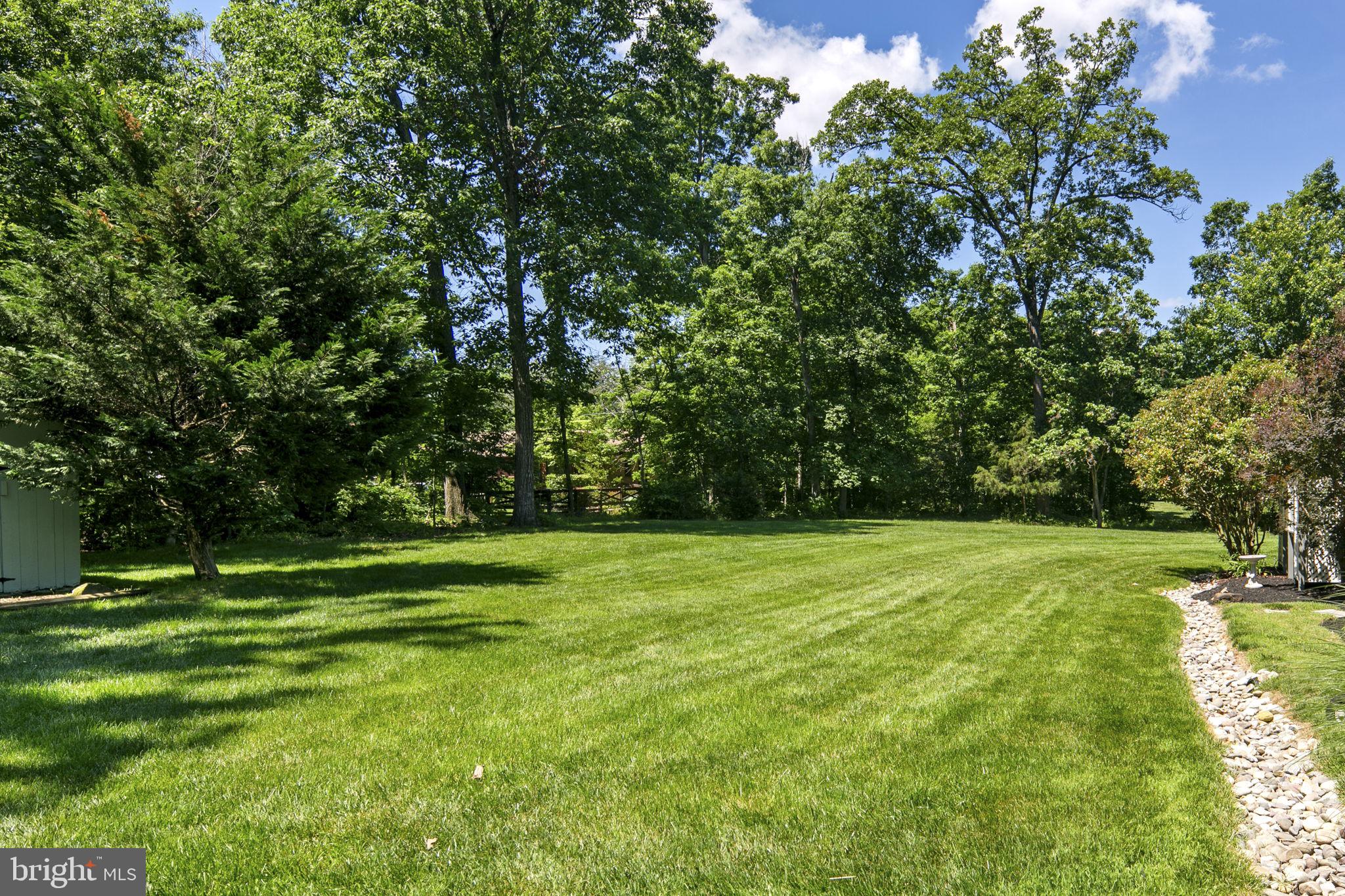 LEWIS PARK - Residential