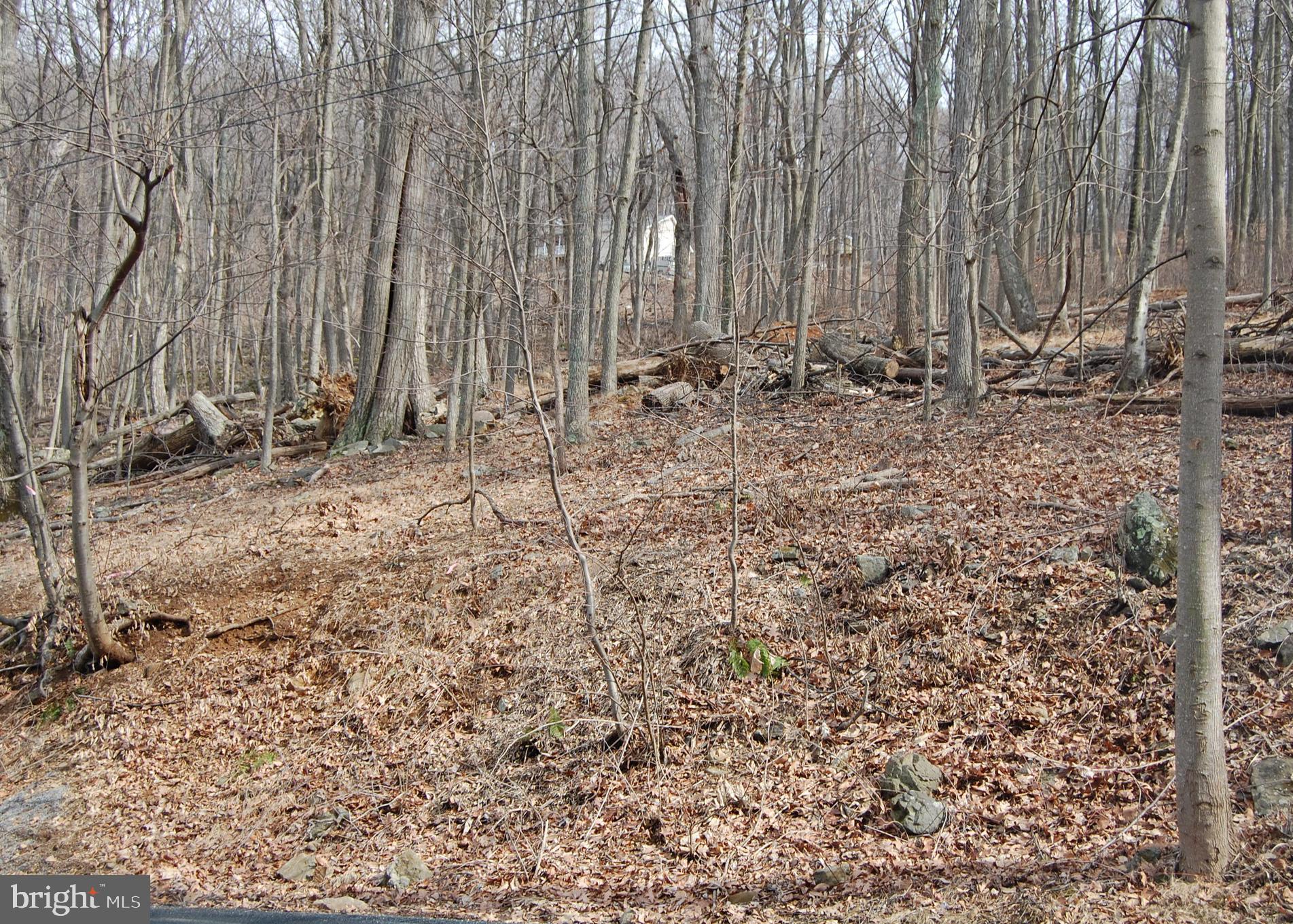 SKYLAND ESTATES - Land