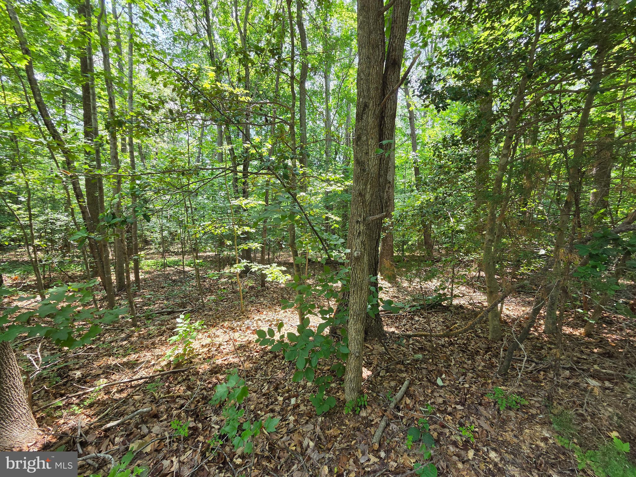 Lot 26 GREENPOINT LANDING ROAD