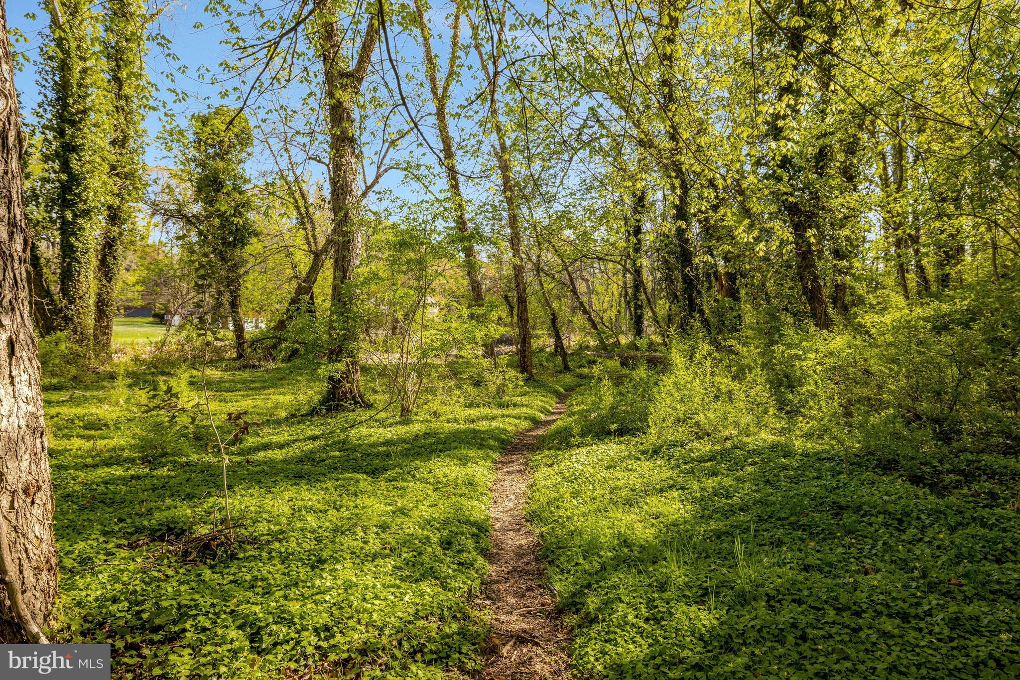 SALONA VILLAGE - Residential