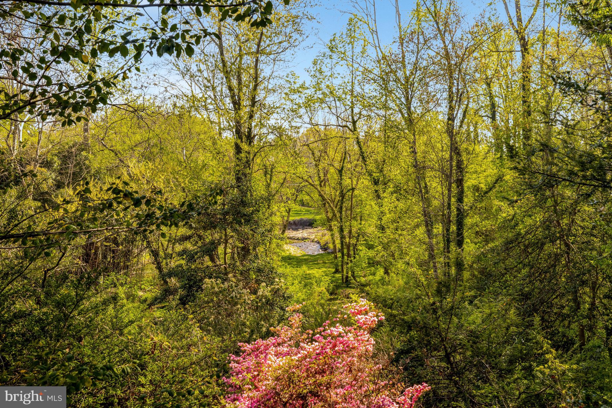 SALONA VILLAGE - Residential