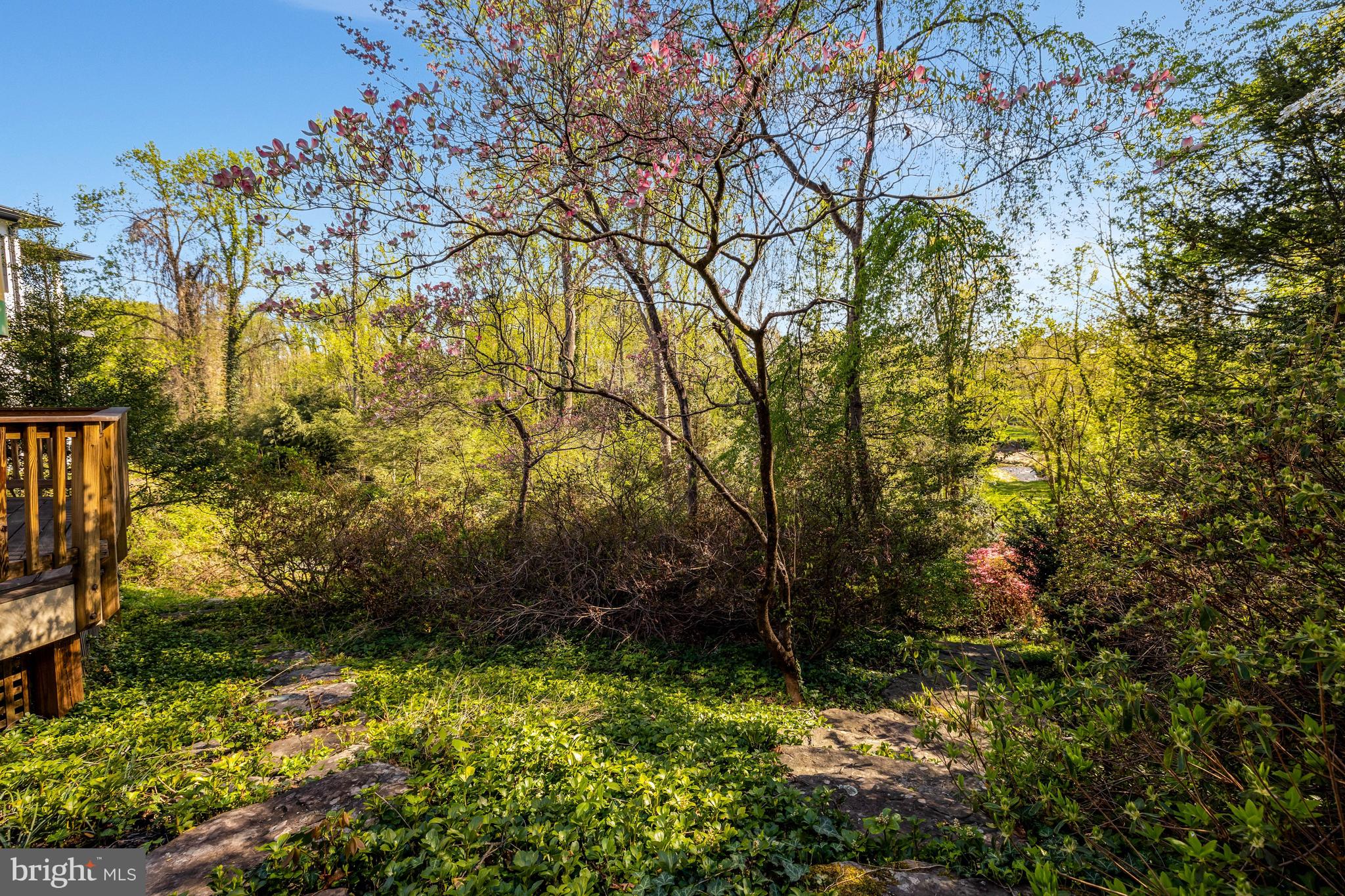 SALONA VILLAGE - Residential