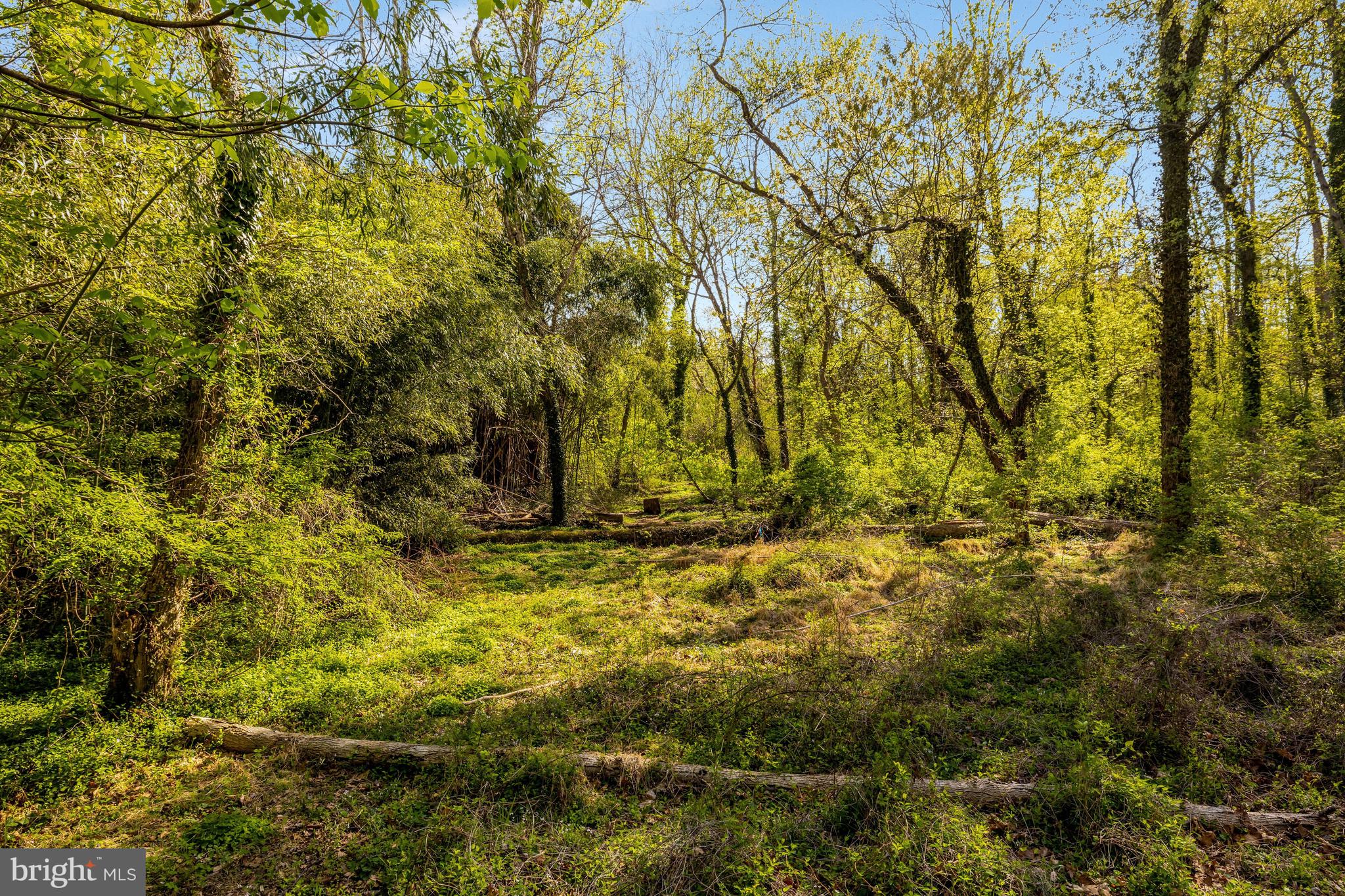 SALONA VILLAGE - Residential