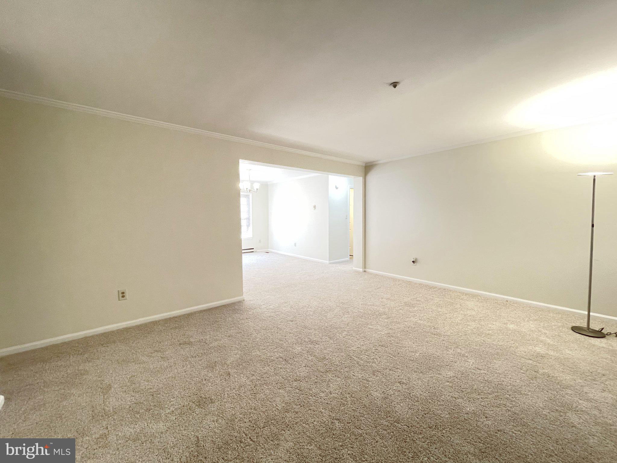 12401 LUSBYS LANE