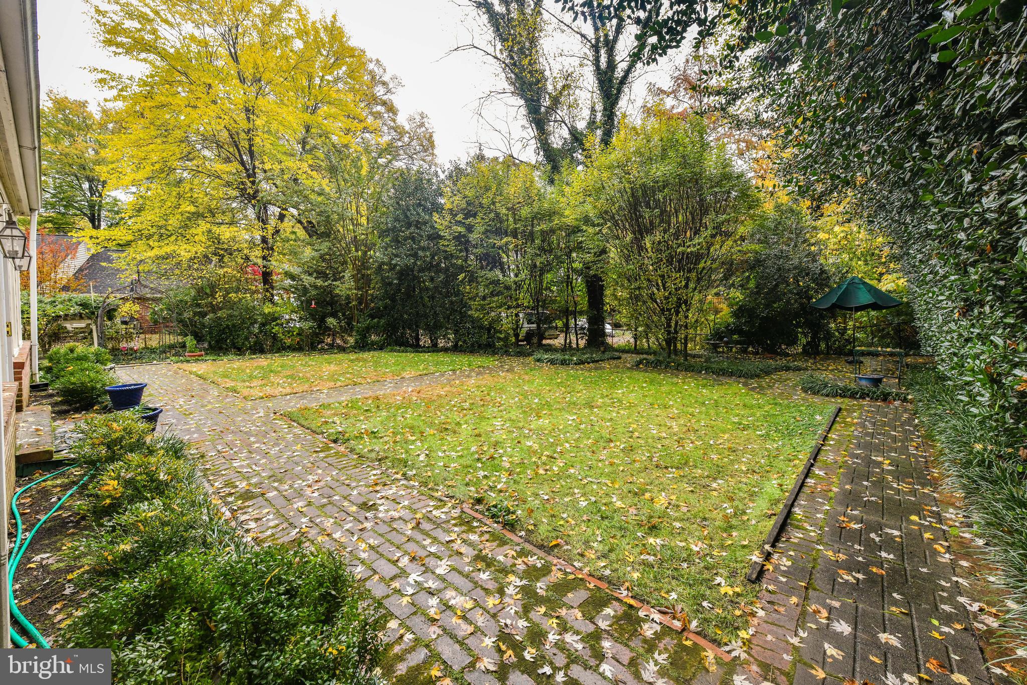 CHAIN BRIDGE FOREST - Residential