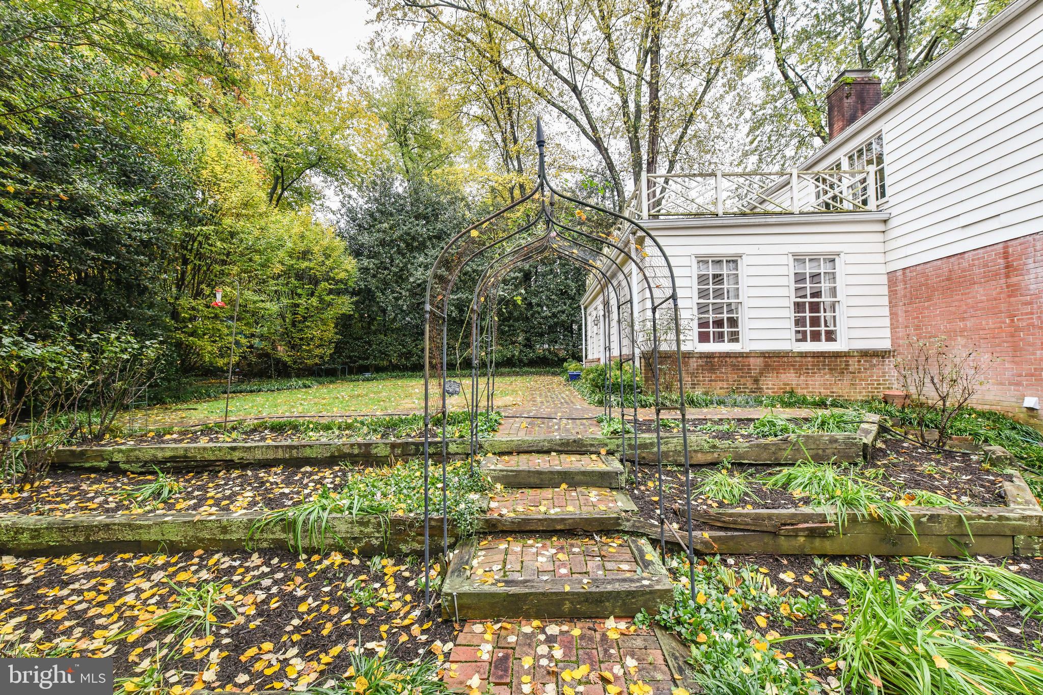 CHAIN BRIDGE FOREST - Residential