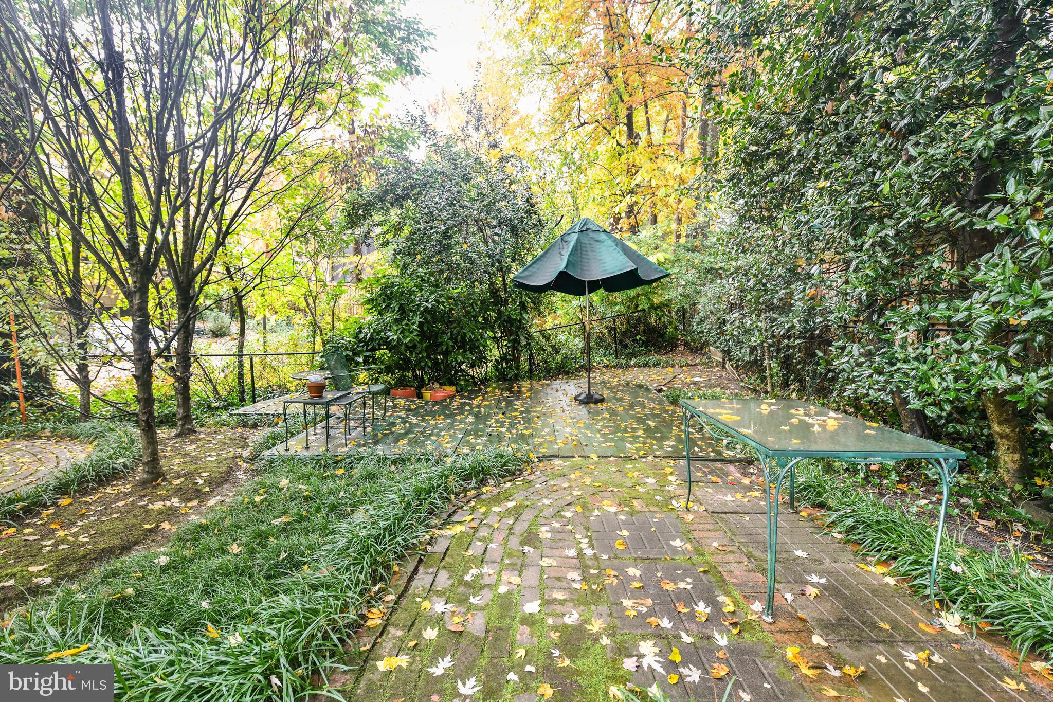CHAIN BRIDGE FOREST - Residential