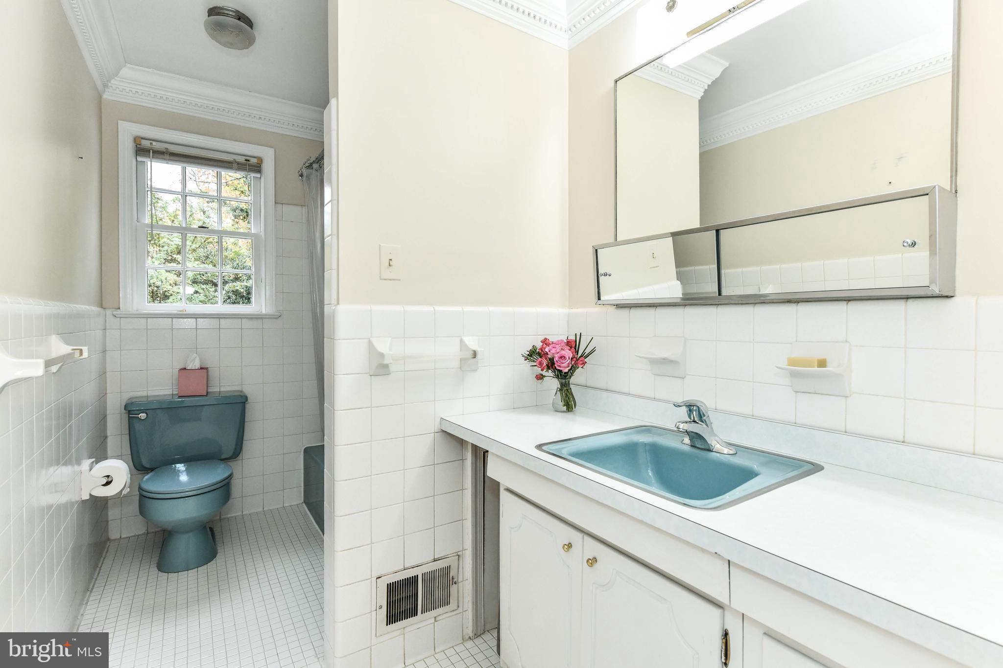 CHAIN BRIDGE FOREST - Residential