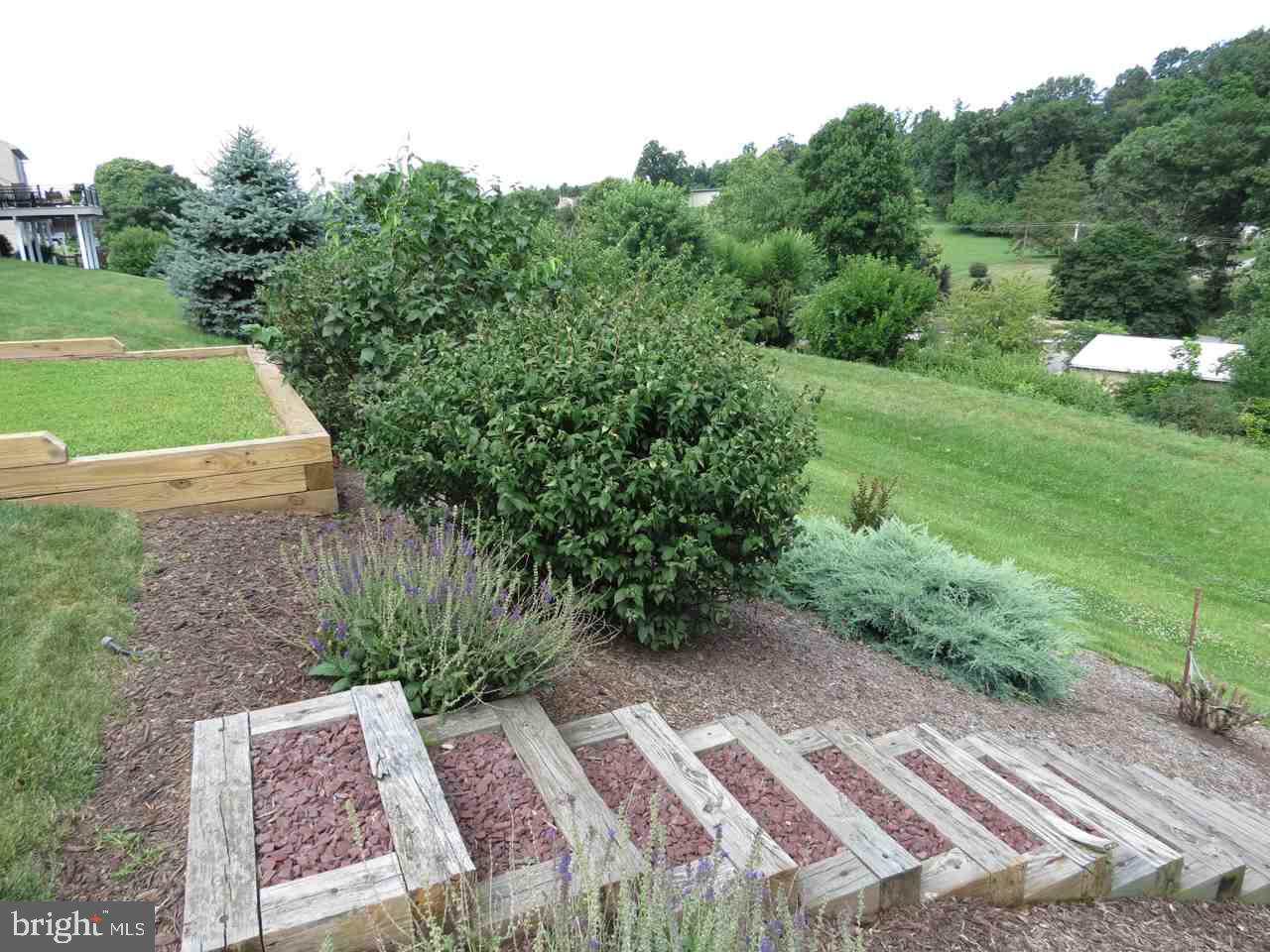 NORTHERN HEIGHTS - Residential