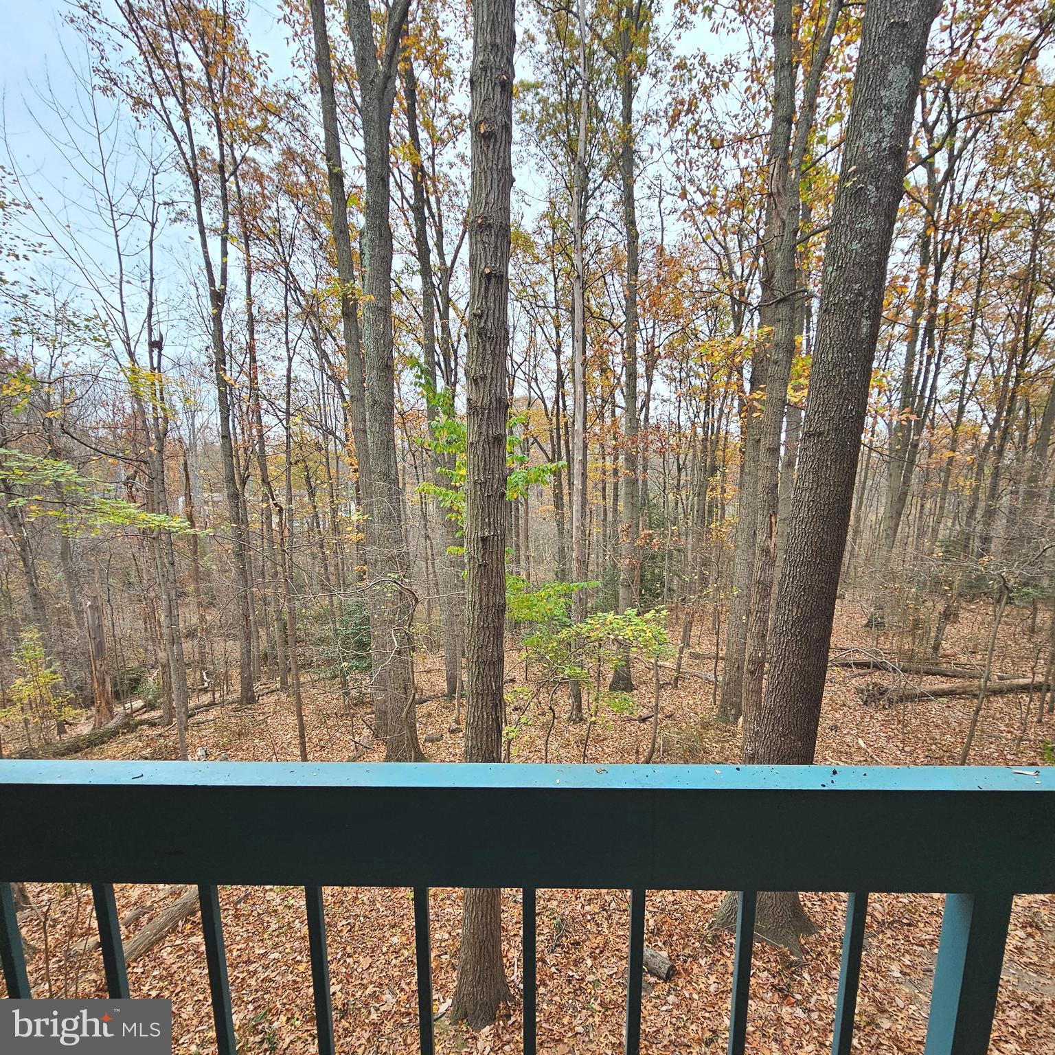 HUNTERS WOODS VILLAGE - Residential Lease