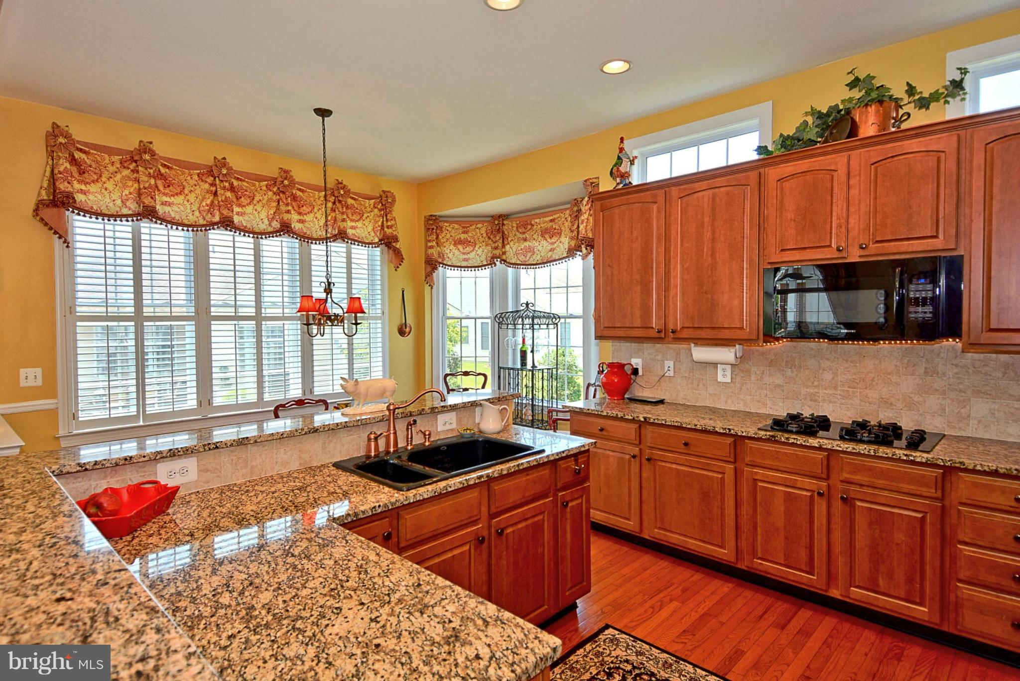 REGENCY AT DOMINION VALLEY - Residential