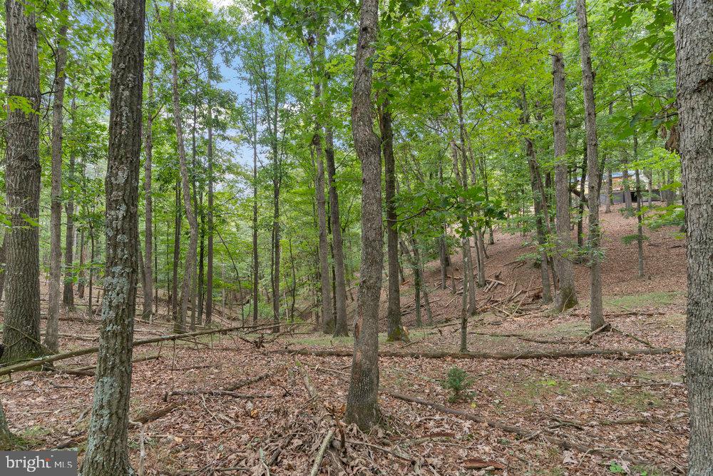 SNYDERS RIDGE - Residential