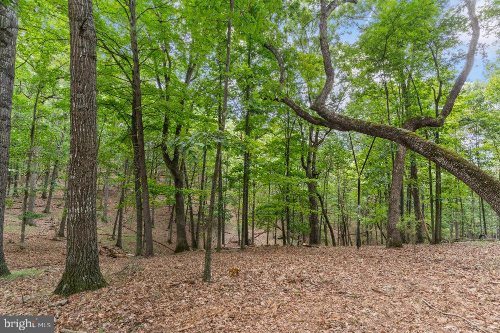 SNYDERS RIDGE - Residential