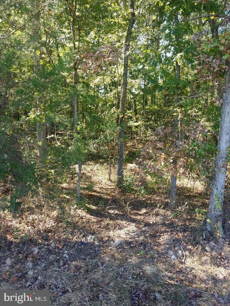 Easy access to Orange and Culpeper. Partly wooded, nice privacy. 1.64 acres ready for you to build. 3 bedroom perc... Alternative system plan is included in Documents along with applications for Orange County.
