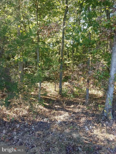 Vacant Land For Sale - 33-51C Zachary Taylor Highway<br/> Orange County, UNIONVILLE, VA 22567