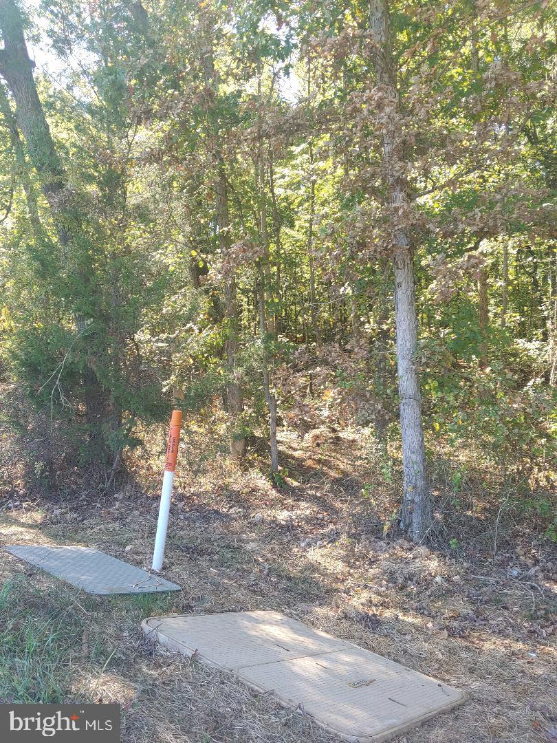 33-51C ZACHARY TAYLOR HIGHWAY