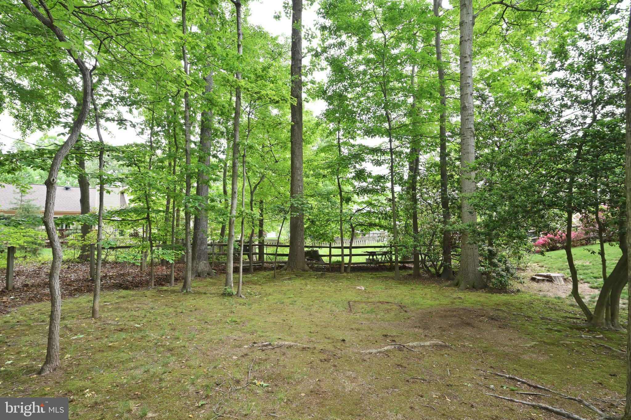 CHERRY RUN - Residential