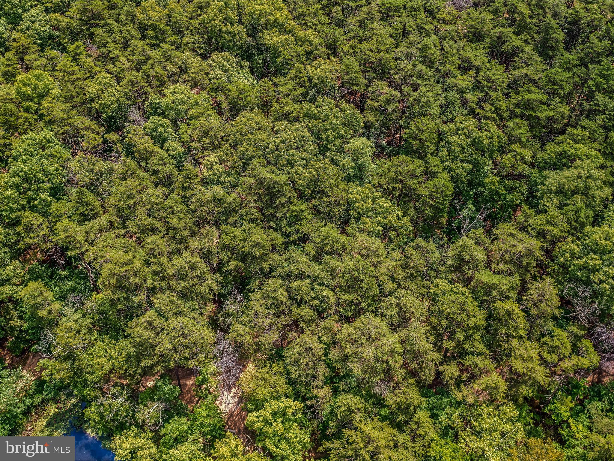 NONE AVAILABLE - Land