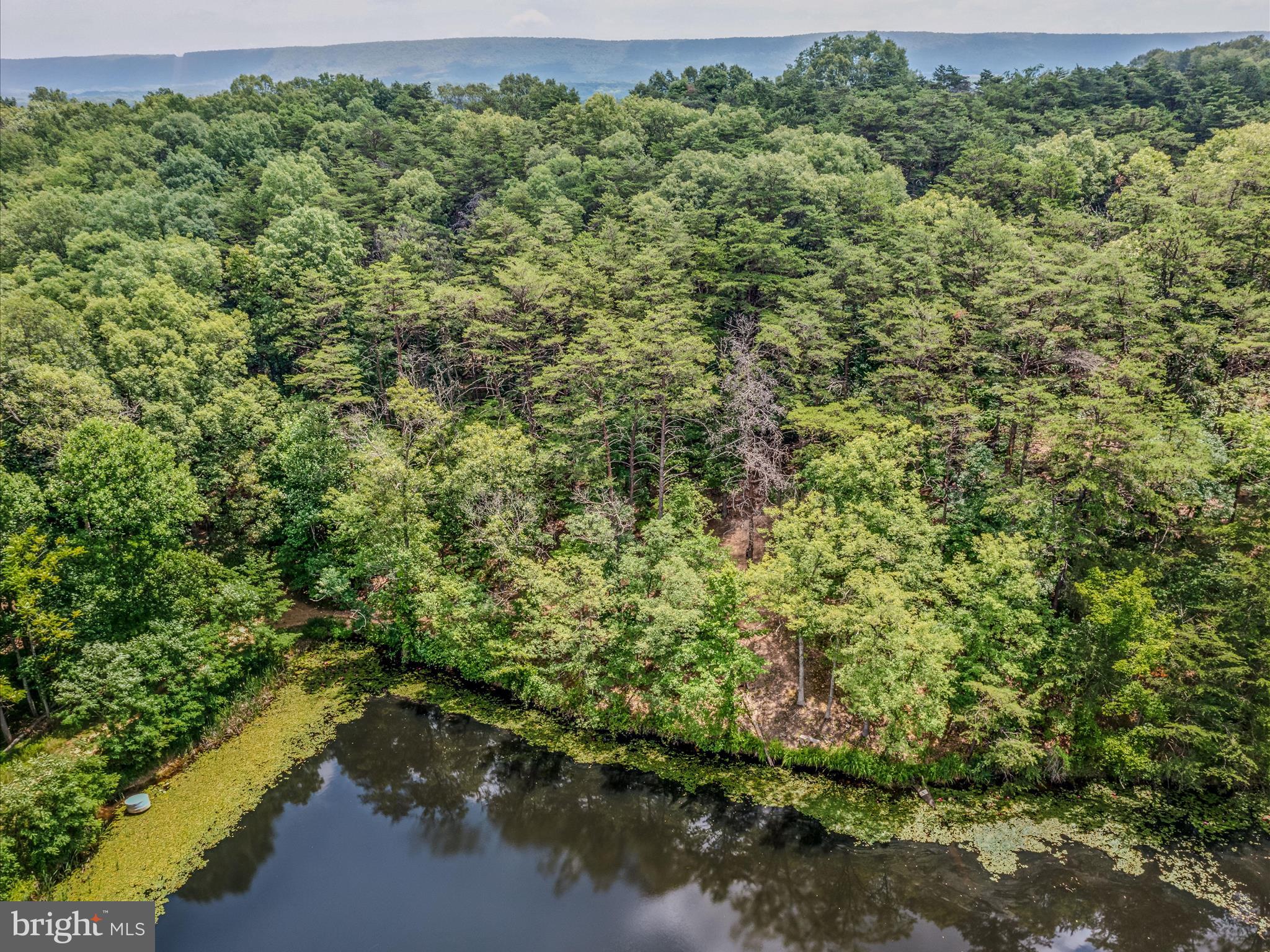 NONE AVAILABLE - Land