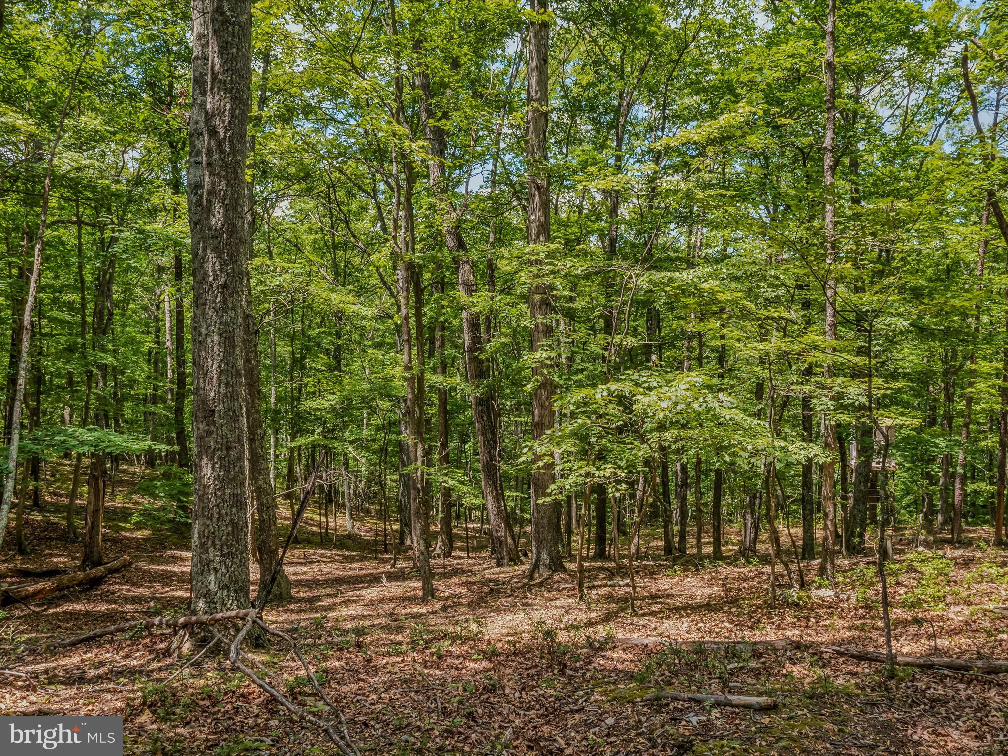 NONE AVAILABLE - Land