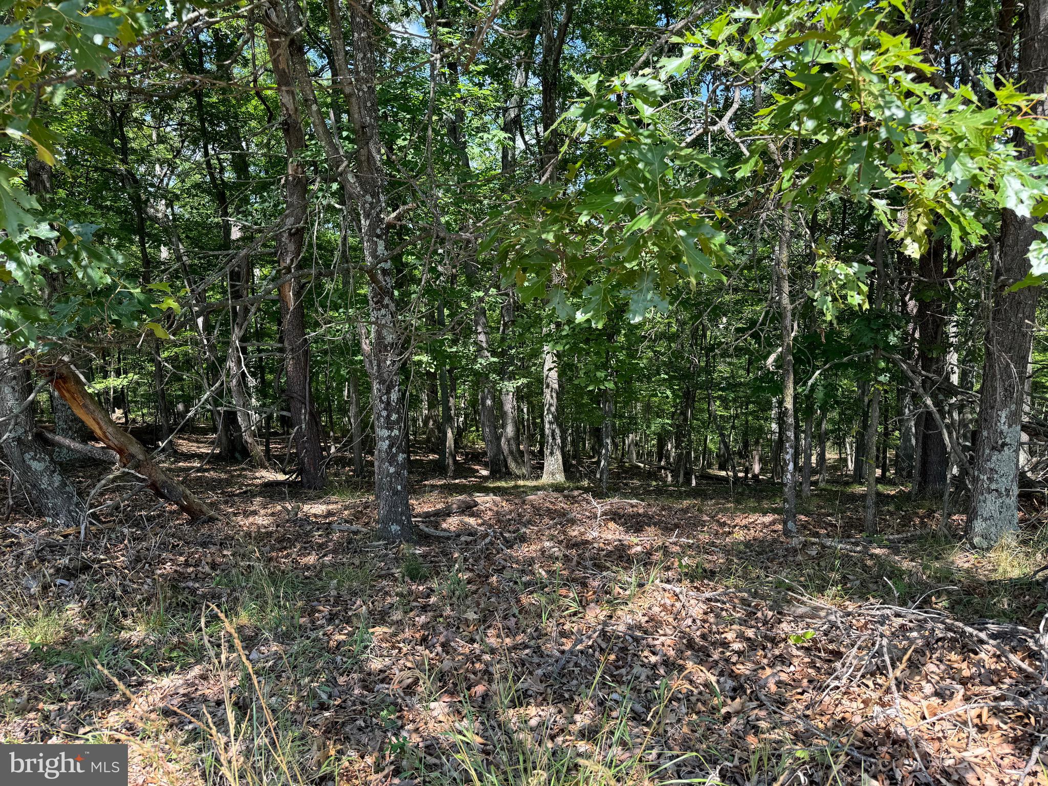 NONE AVAILABLE - Land