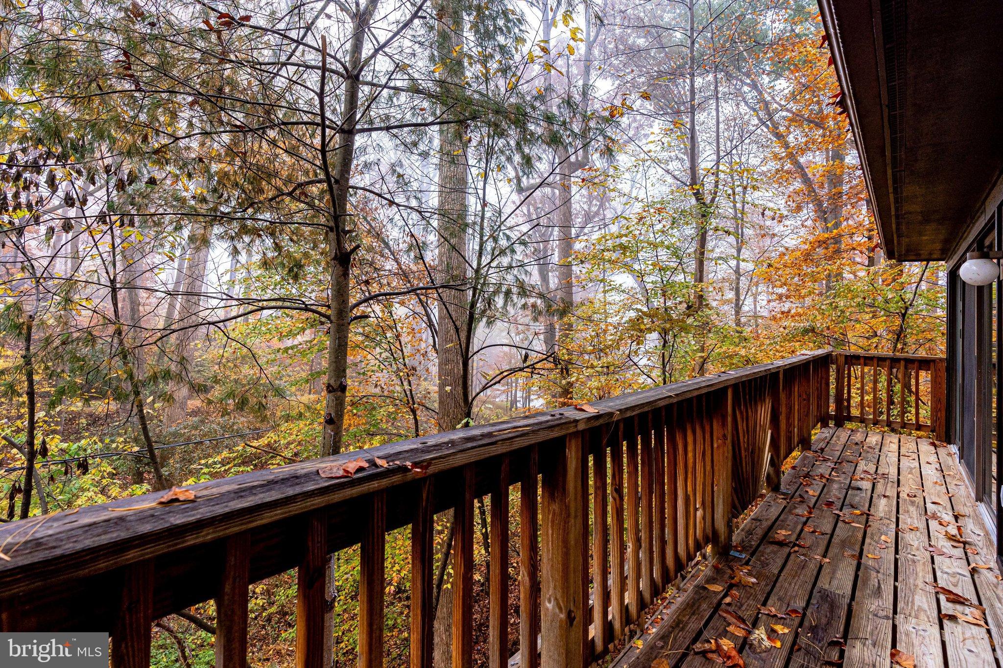 LAKE FOREST - Residential