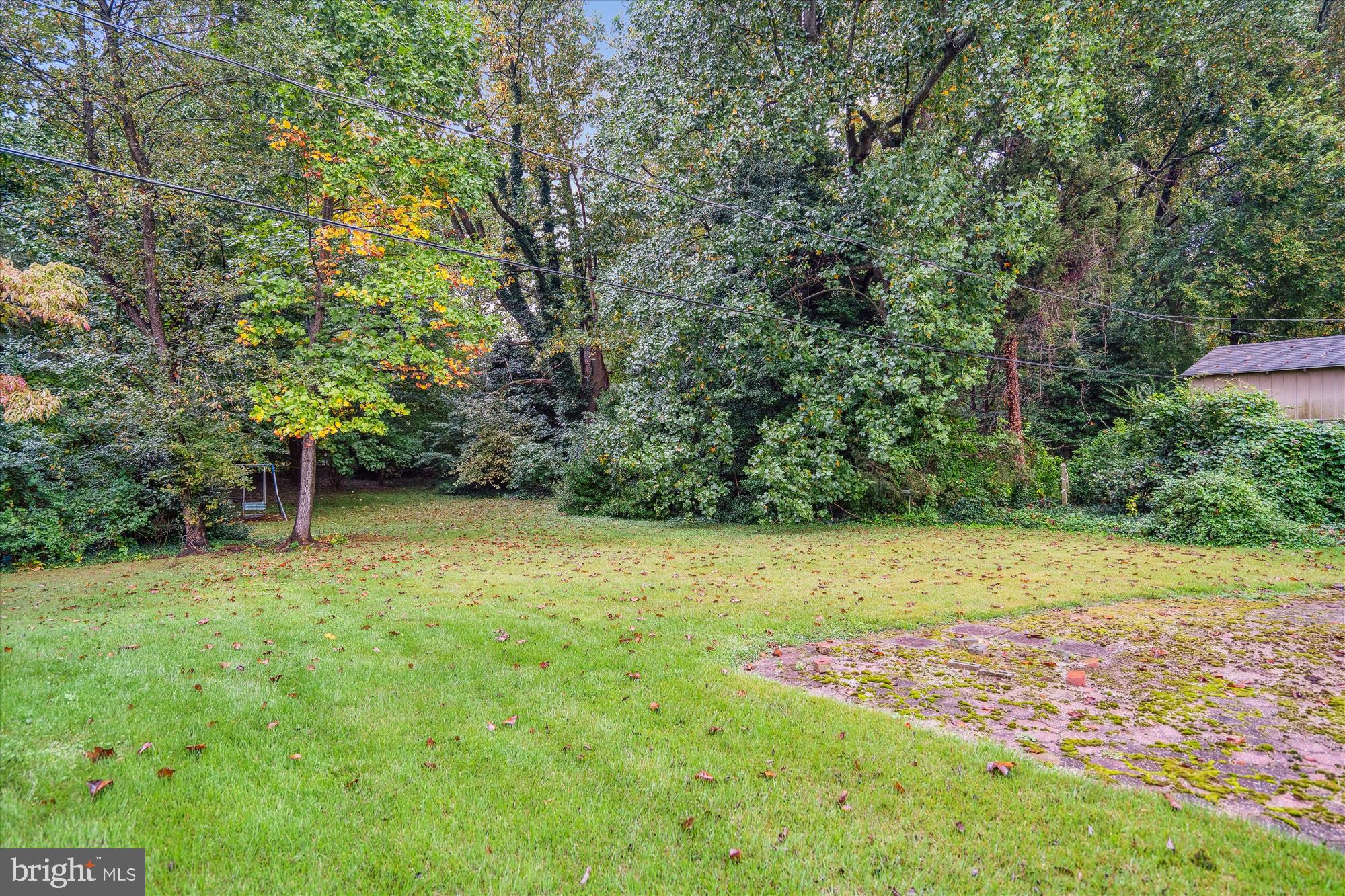 TULIP GROVE AT BELAIR - Residential