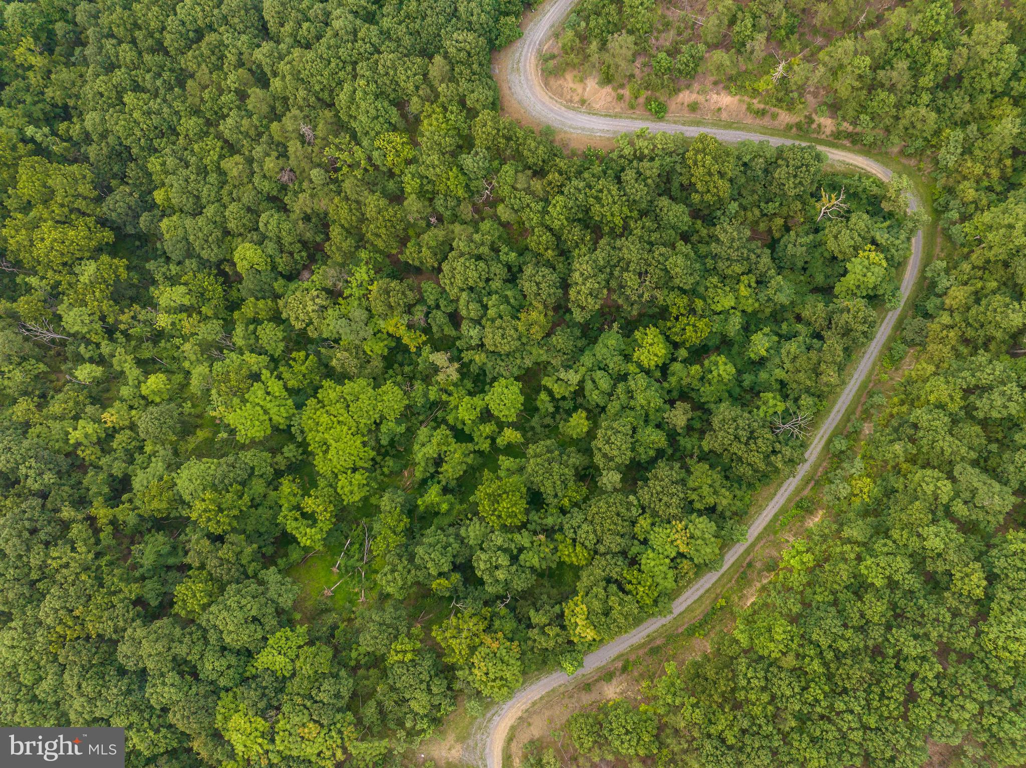 BLUFFS ON THE POTOMAC - Land