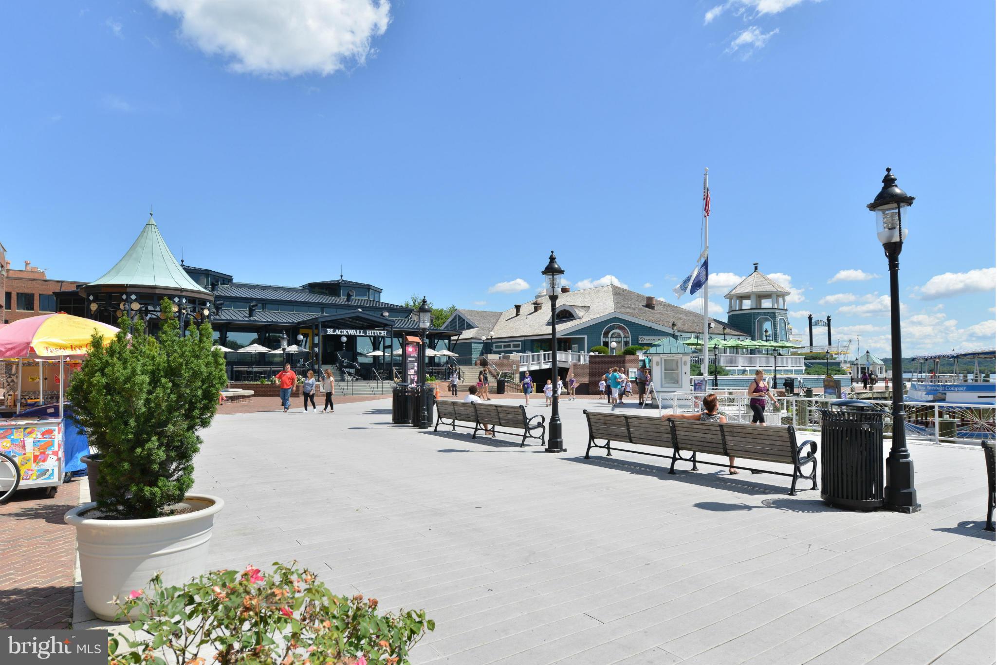 THOMAS SHELTON ESTATE - Residential Lease