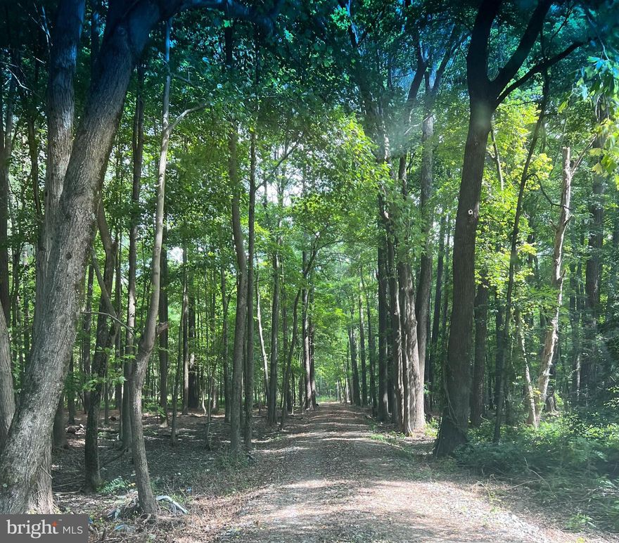 1.5 +/- acres perc approved building lot located in Royal Oak Md. Located minutes from St. Michaels and Easton Md and only a short drive to the Oxford / Bellevue Ferry. A perfect opportunity to build your eastern shore dream home in a rural setting while enjoying 5-star dining and amenities only a short drive away. Building lots of this caliber are rare in the county and do not come available often.