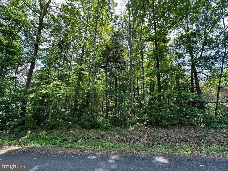 Build your dream home on this prime .34 acre lot!  Discover the perfect canvas for your future home in the serene and picturesque community of Lake of the Woods located in Orange, VA between Culpeper and Fredericksburg and just over 60 miles to DC. The land is level with a gentle slope at the rear, creating an excellent opportunity for constructing either a one-level home or a walkout basement design.

Situated within a cul-de-sac, this parcel of land promises a quiet and private setting, away from the busier sections of the community. It's an ideal spot for those looking to enjoy tranquility while still being close to essential amenities.

Lake of the Woods is a vibrant community rich in recreational activities. Residents can enjoy a plethora of amenities, including fishing, golfing, boating, and exploring various nature trails. Whether you're an avid golfer, fishing enthusiast, or simply someone who loves to be surrounded by nature, this community has something to offer for everyone.

Don't miss the chance to build your dream home in a community where peace meets play. This lot is not just a piece of land; it's a doorway to a lifestyle. Grab this opportunity to create a space to live, relax, and entertain in the scenic backdrop of sought-after Lake of the Woods!