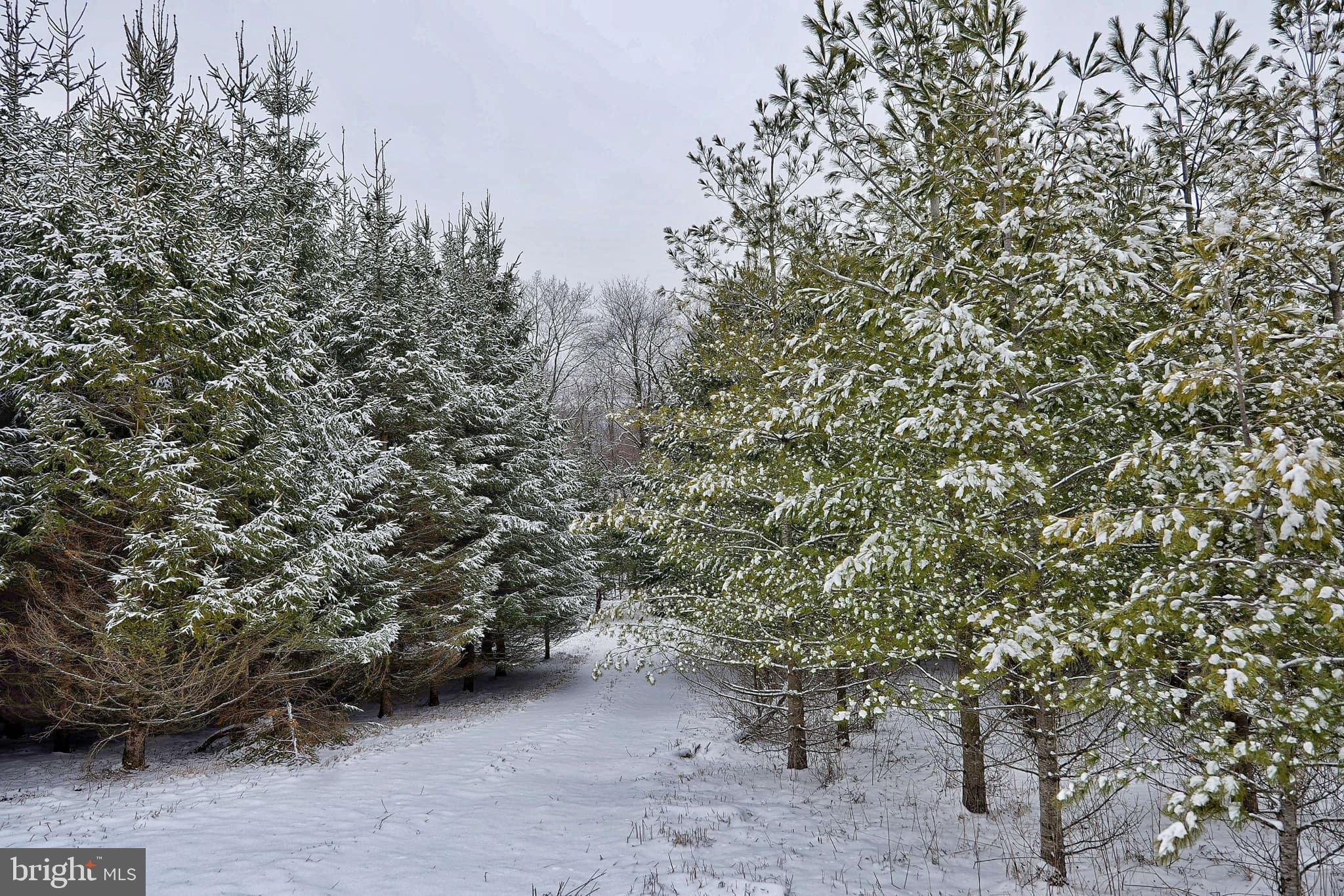 TERRA ALTA - Residential