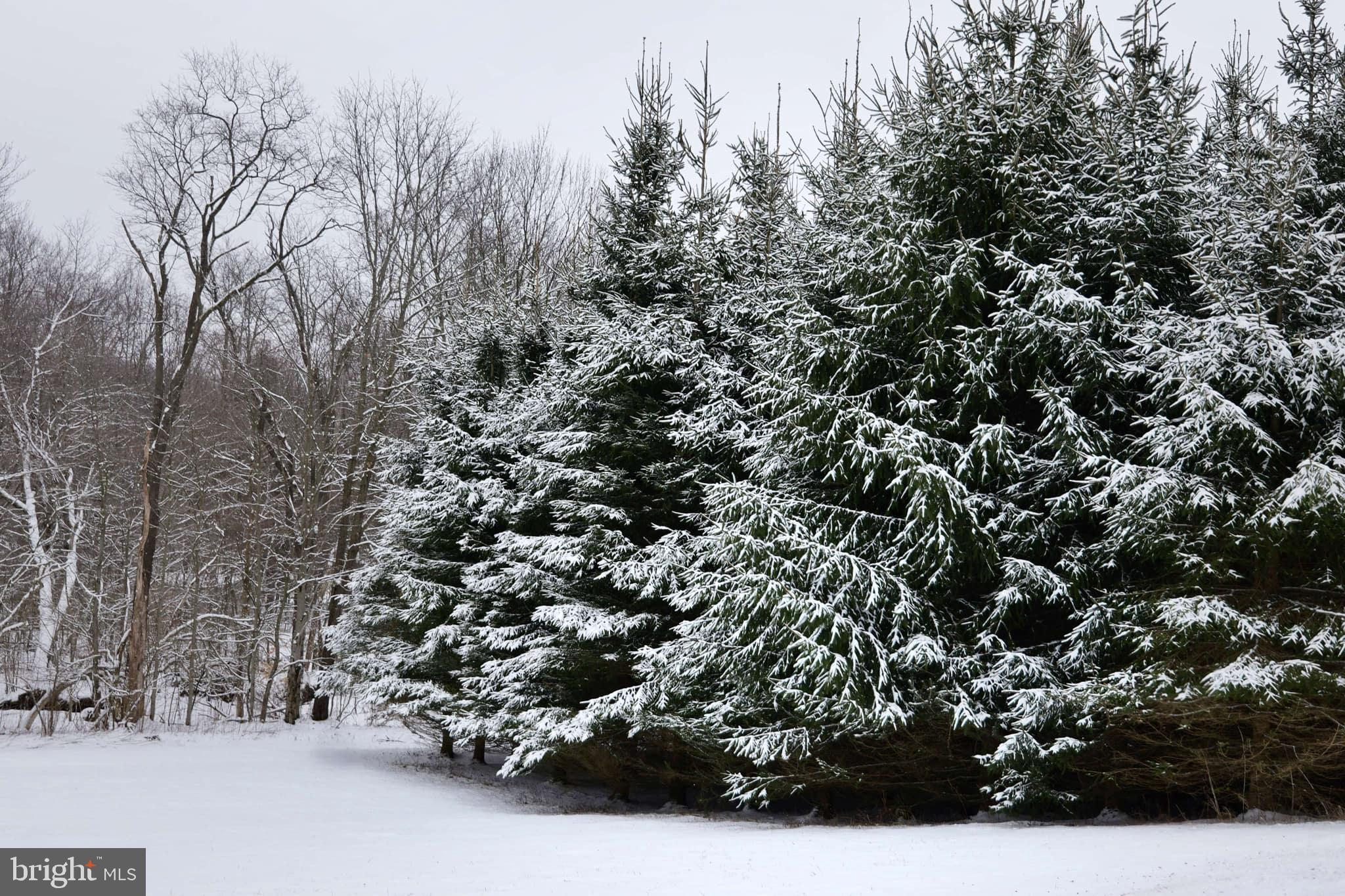 TERRA ALTA - Residential