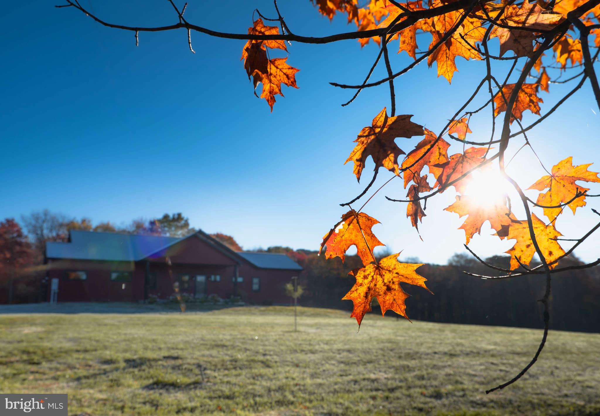 TERRA ALTA - Residential